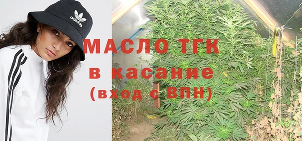 молекула духа Горнозаводск