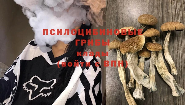 молекула духа Горнозаводск