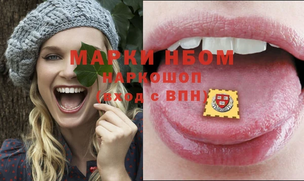 молекула духа Горнозаводск
