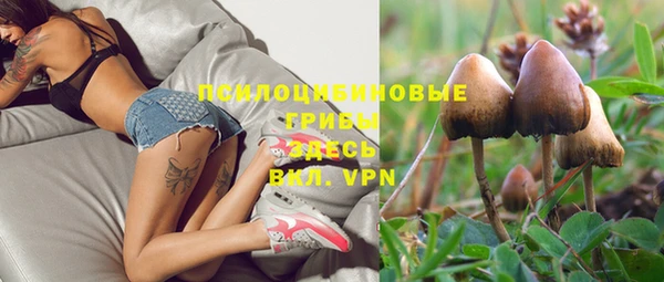 молекула духа Горнозаводск