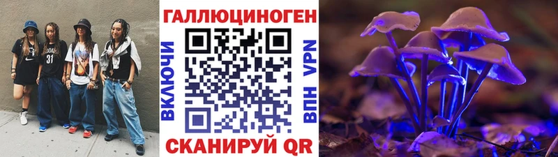 Псилоцибиновые грибы Psilocybe  Купить где  Арск 